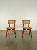Lot de 2 chaises modèle Titus éditées par Vincent Sheppard
